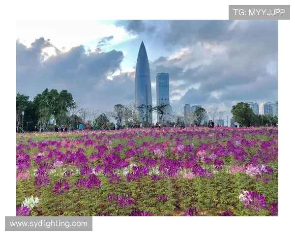 深圳羽毛球队的精神探秘与荣耀之路揭秘 深圳羽毛球队的精神探秘与荣耀之路揭秘