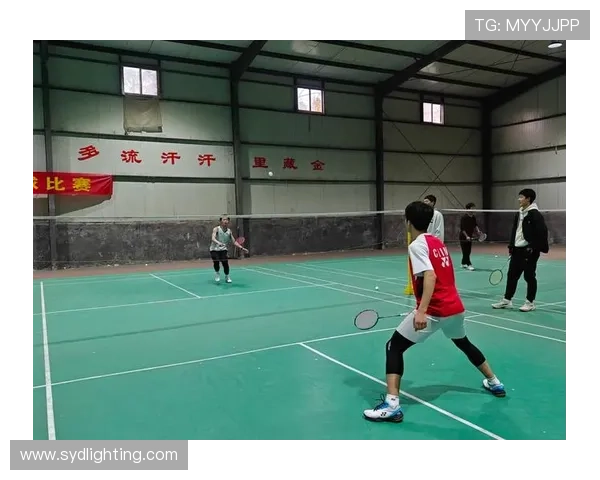 成都羽毛球队比赛经验分析及其对整体表现的影响研究 成都羽毛球队比赛经验分析及其对整体表现的影响研究