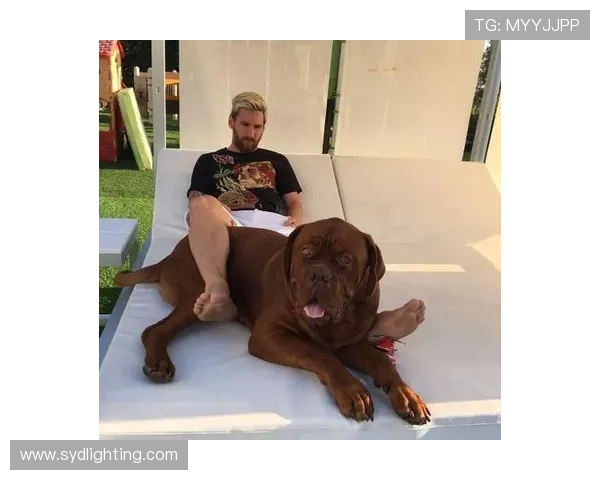 狗子足球明星盘点有哪些值得关注的球员和他们的精彩表现 狗子足球明星盘点有哪些值得关注的球员和他们的精彩表现