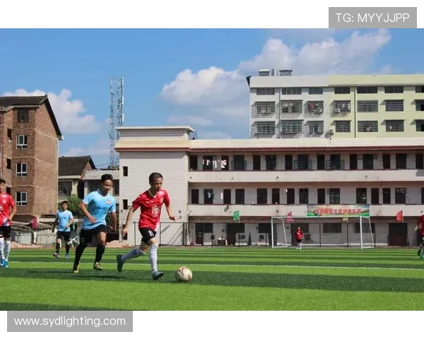 系统攻略足球明星的逆袭人生与热血青春之路