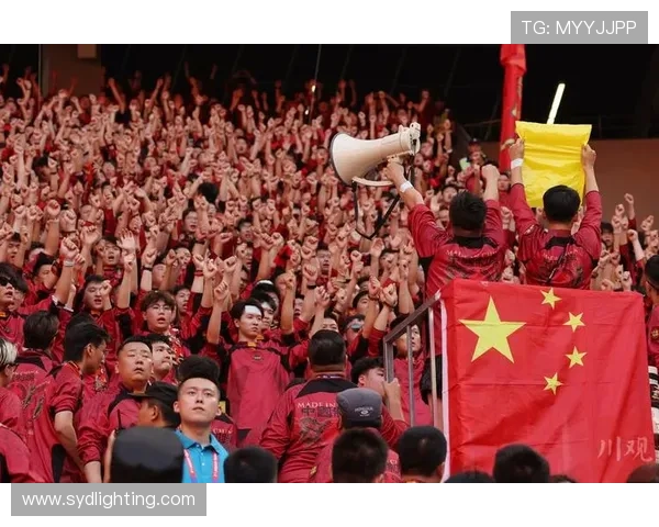 武汉足球队速度之争引发热议球迷观点各异解析背后真相